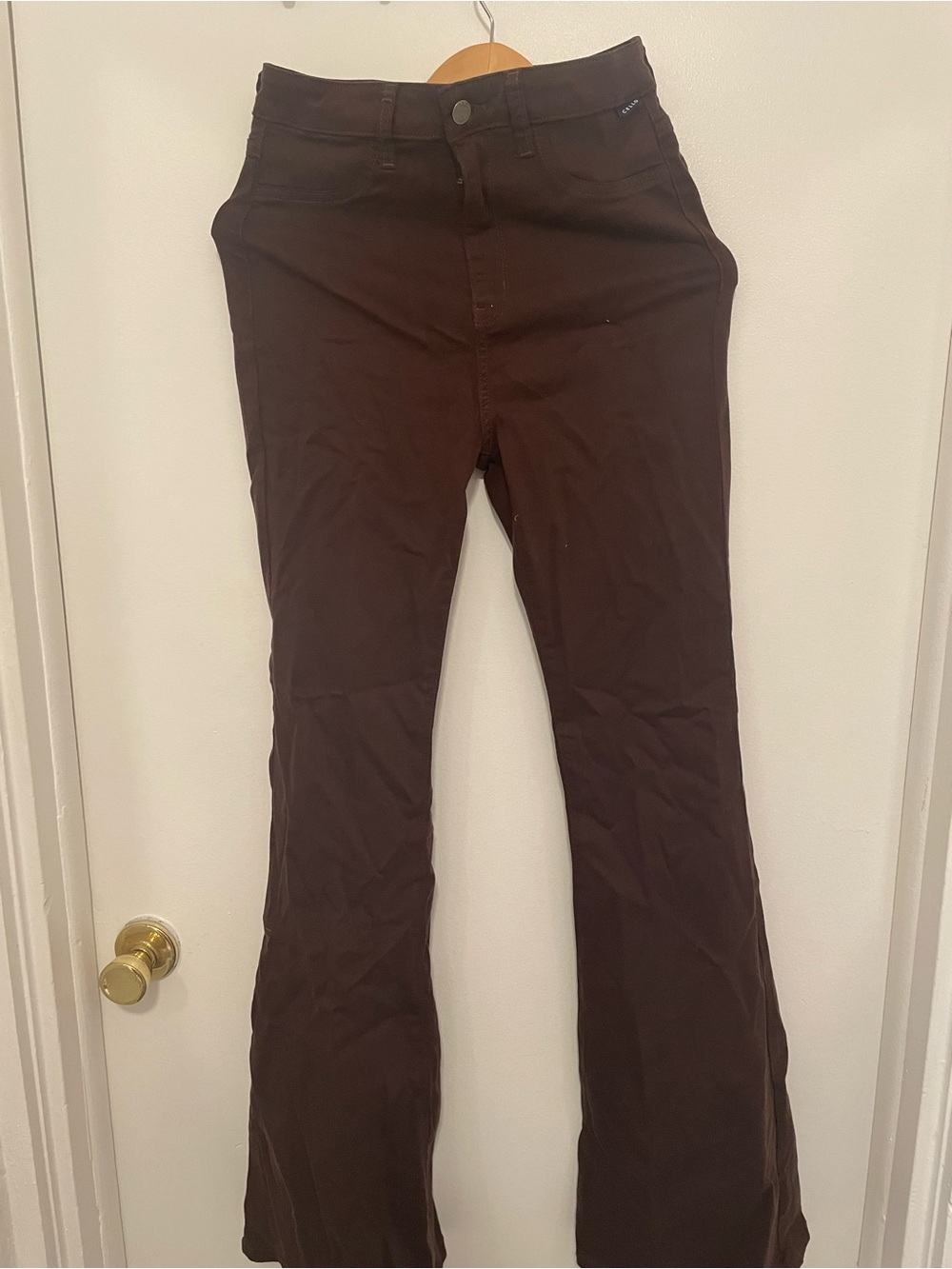 Cello Women's Flare Jeans in Dark Brown